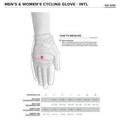 Clothing Alpinestars Cirrus Gloves